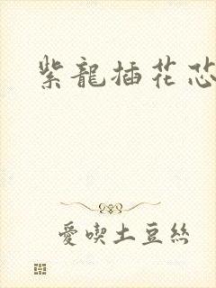 紫龙插花芯方正