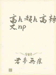 高h超h高辣h文np