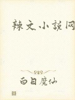 辣文小说网