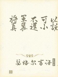 将军不可以魏云真慕迟小说笔趣阁