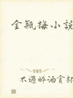 金瓶梅小说