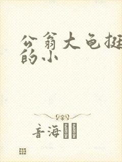 公翁大龟挺进我的小