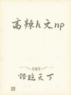 高辣h文np