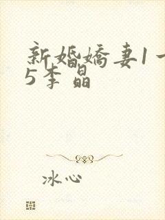 新婚娇妻1一25李晶