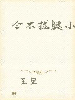 合不拢腿小说