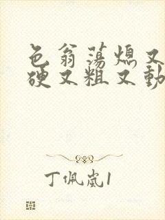 色翁荡熄又大又硬又粗又动态图