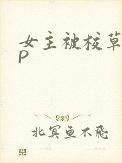 女主被校草们NP