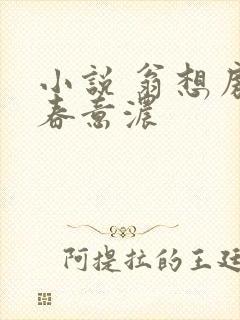 小说 翁想房中春意浓