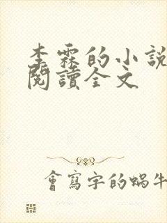 李霖的小说免费阅读全文