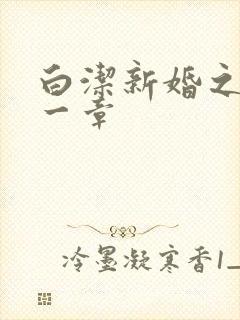 白洁新婚之夜第一章