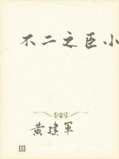 不二之臣小说