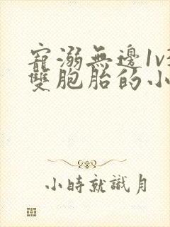 宠溺无边1v3双胞胎的小说