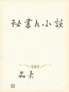 秘书h小说