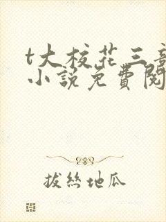 t大校花三部曲小说免费阅读全文