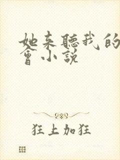 她来听我的演唱会小说