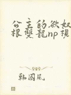 公主的欲奴h四根双龙np视频