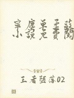 宁尘单柔苏千雪小说免费阅读最新