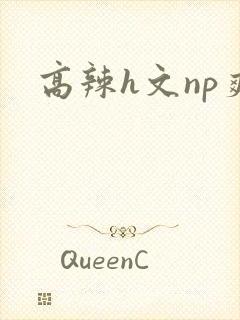高辣h文np爽