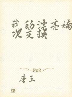 我的漂亮娇妻初次交换