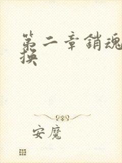 第二章销魂的交换