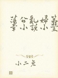 荡公乱妇第51章小说小莹