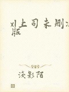 xl上司未删减版