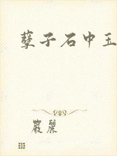 孽子石中玉