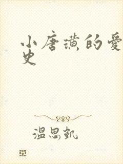 小唐璜的爱情历史