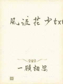 风流花少txt