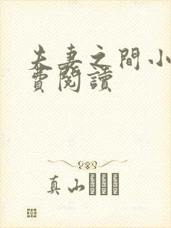 夫妻之间小说免费阅读