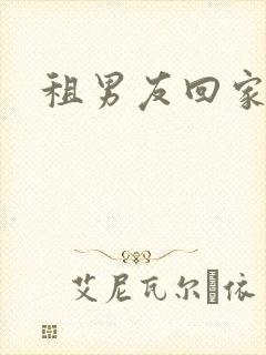 租男友回家过年