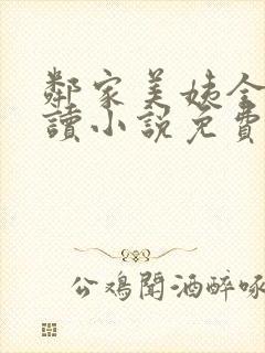 邻家美姨全文阅读小说免费