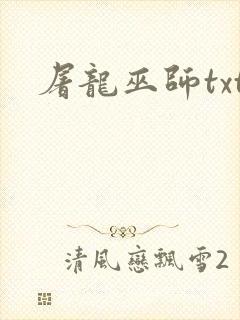 屠龙巫师txt