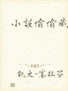 小说偷偷藏不住