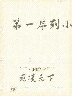 第一序列小说