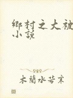 乡村之大被同眠小说