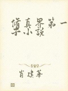 修真界第一病秧子小说