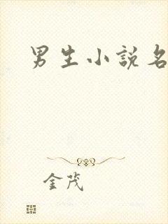 男生小说名字