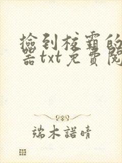 捡到校霸的遥控器txt免费阅读by阳阳