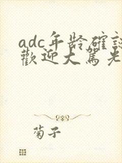 adc年龄确认欢迎大驾光临小说