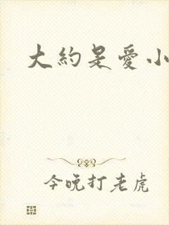 大约是爱小说