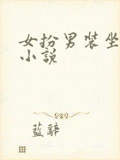 女扮男装坐江山小说