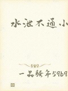 水泄不通小说