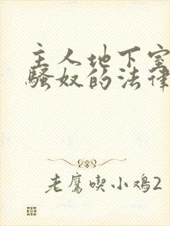 主人地下室惩罚骚奴的法律后果