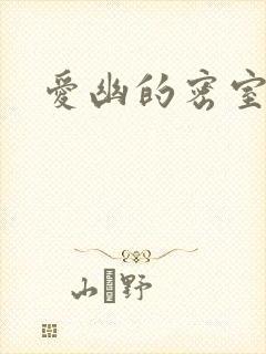 爱幽的密室小说
