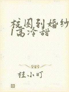 校园到婚纱1V1高冷甜