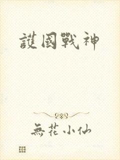 护国战神