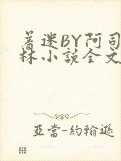 着迷BY阿司匹林小说全文免费阅读