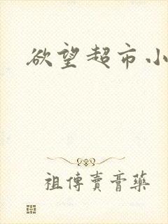 欲望超市小说
