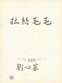 拉丝毛毛